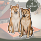 Shiba Inus - Build-Your-Own