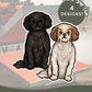 Shih Tzus - Build-Your-Own