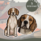 Beagles - Build-Your-Own