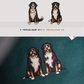 Bernese Mountain Dogs - Build-Your-Own