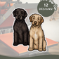 Spanish Water Dogs - Build-Your-Own
