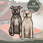 Staffordshire Bull Terriers - Build-Your-Own