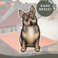 Swedish Vallhunds - Build-Your-Own
