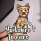 Yorkshire Terriers - Build-Your-Own