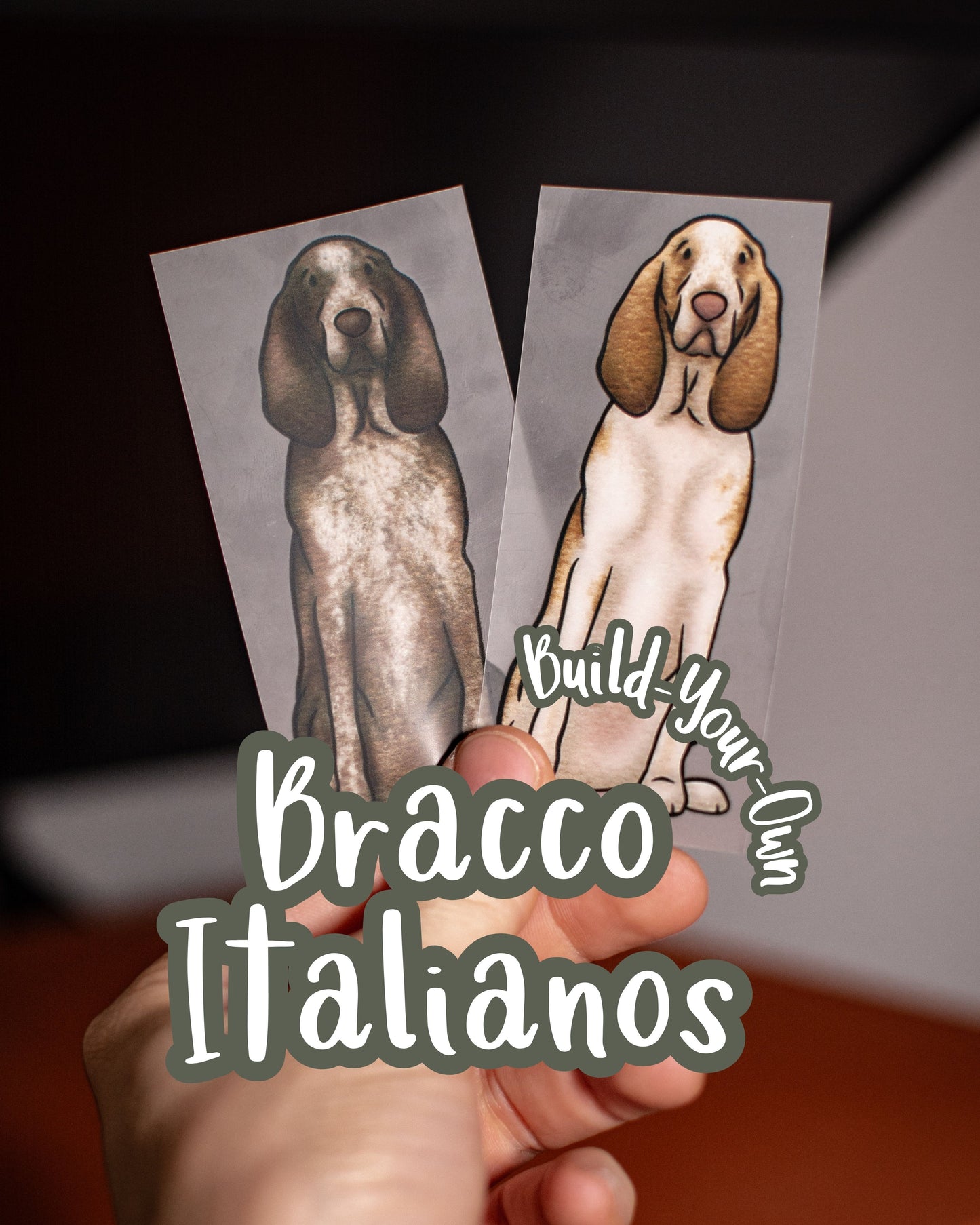 Bracco Italianos - Build-Your-Own