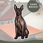 Xoloitzcuintles - Build-Your-Own