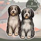 Bearded Collies - Build-Your-Own