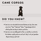 Cane Corsos - Build-Your-Own