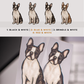 Boston Terriers - Build-Your-Own