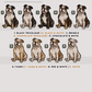 English Bulldogs - Build-Your-Own
