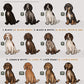 Spaniels - Build-Your-Own