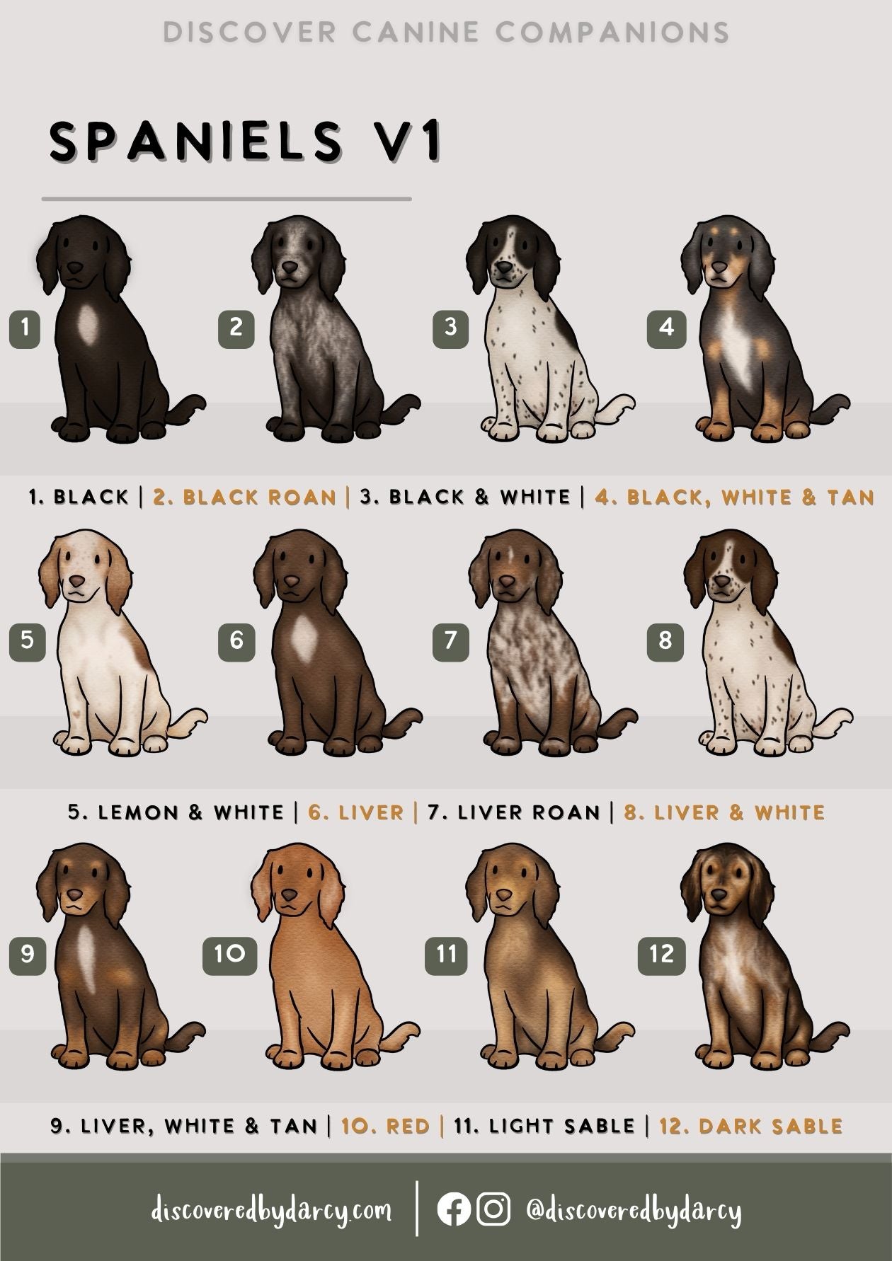Spaniels - Build-Your-Own