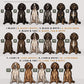 Spaniels - Build-Your-Own