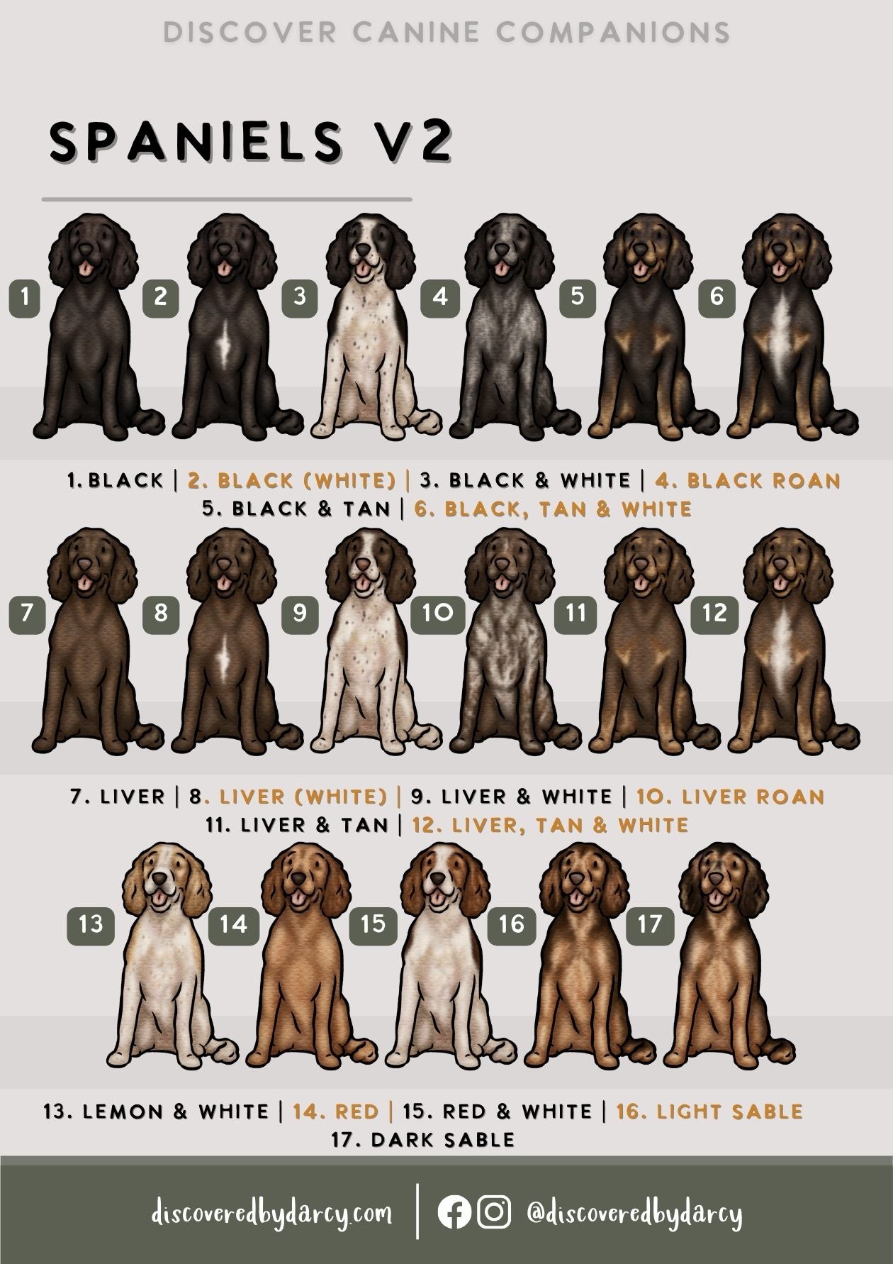 Spaniels - Build-Your-Own