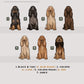 Spaniels - Build-Your-Own