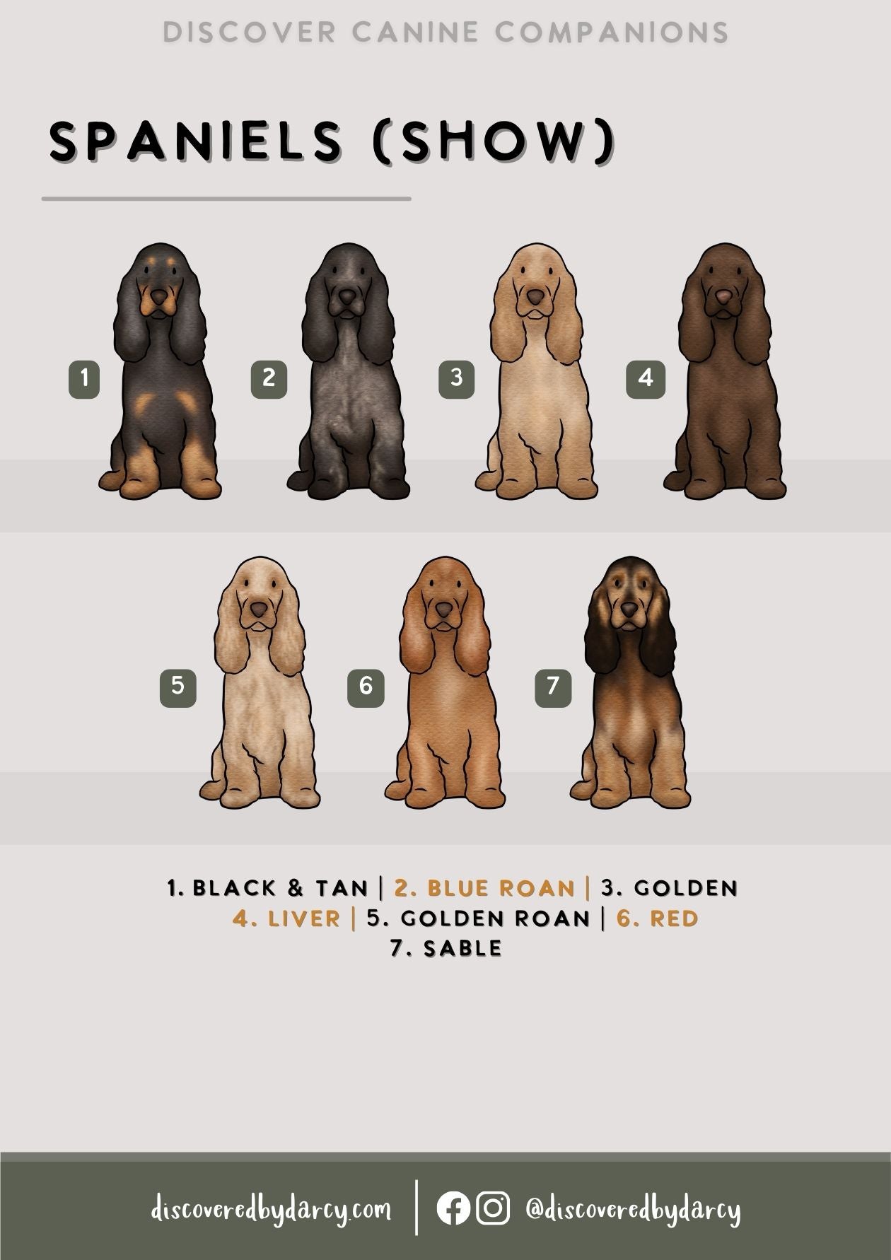 Spaniels - Build-Your-Own