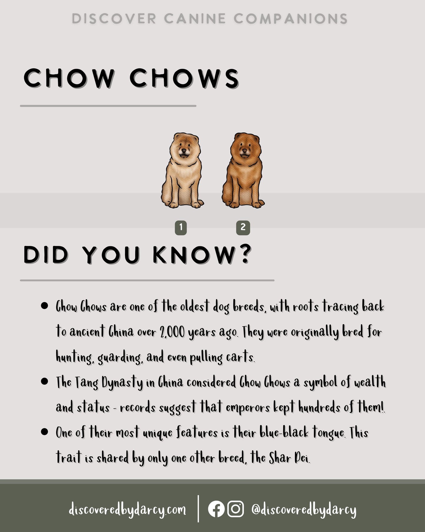 Chow Chows - Build-Your-Own