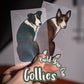 Collies - Build-Your-Own