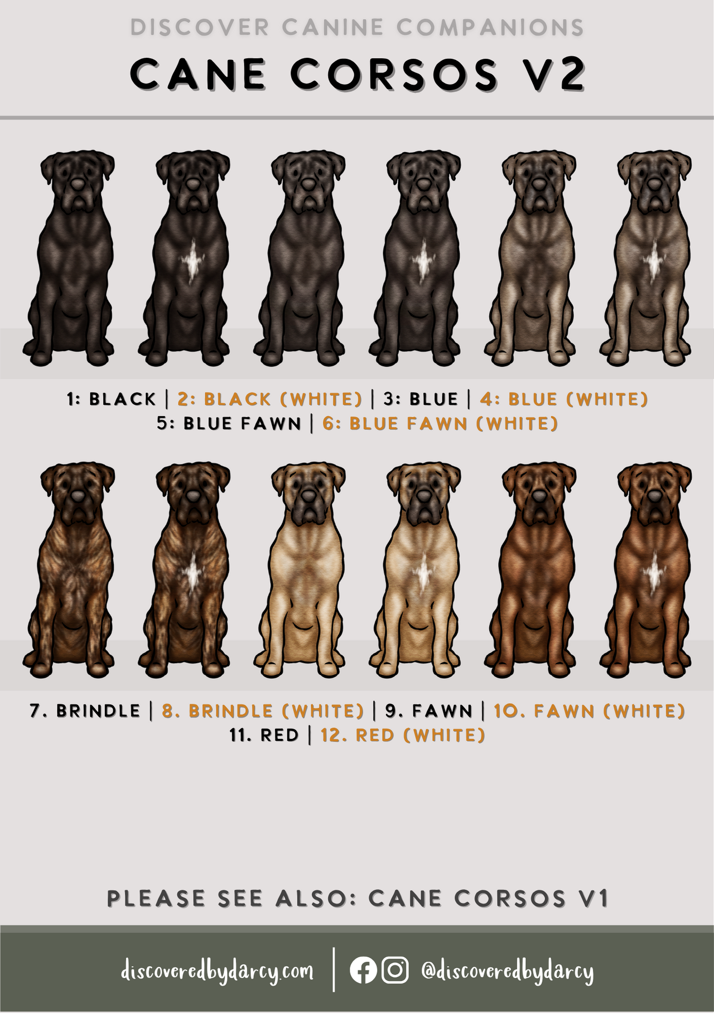 Cane Corsos - Build-Your-Own