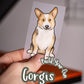 Corgis - Build-Your-Own