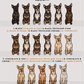 Chihuahuas - Build-Your-Own