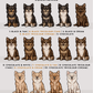 Chihuahuas - Build-Your-Own