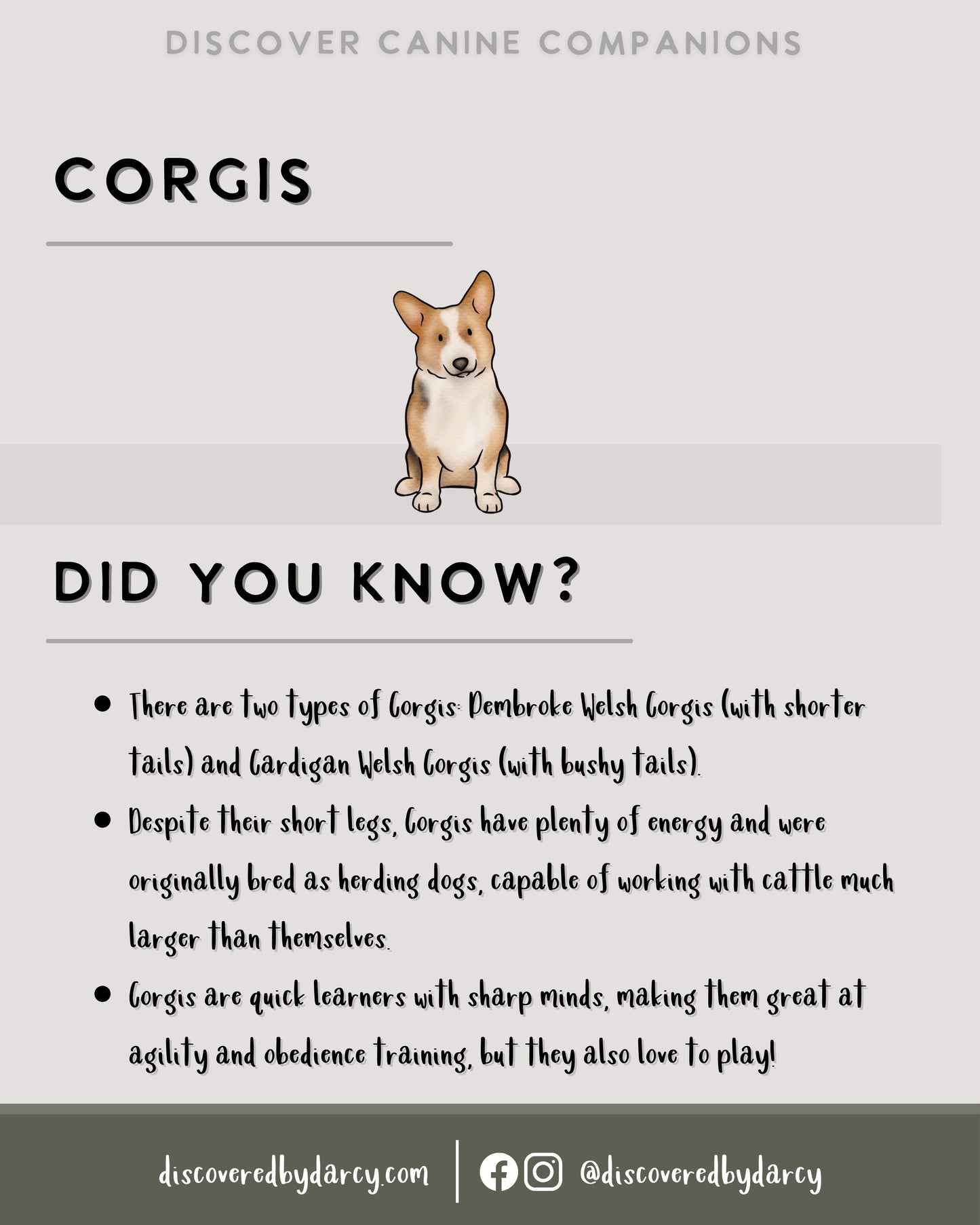 Corgis - Build-Your-Own