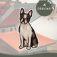 Boston Terriers - Build-Your-Own