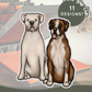 Boxer Dogs - Build-Your-Own