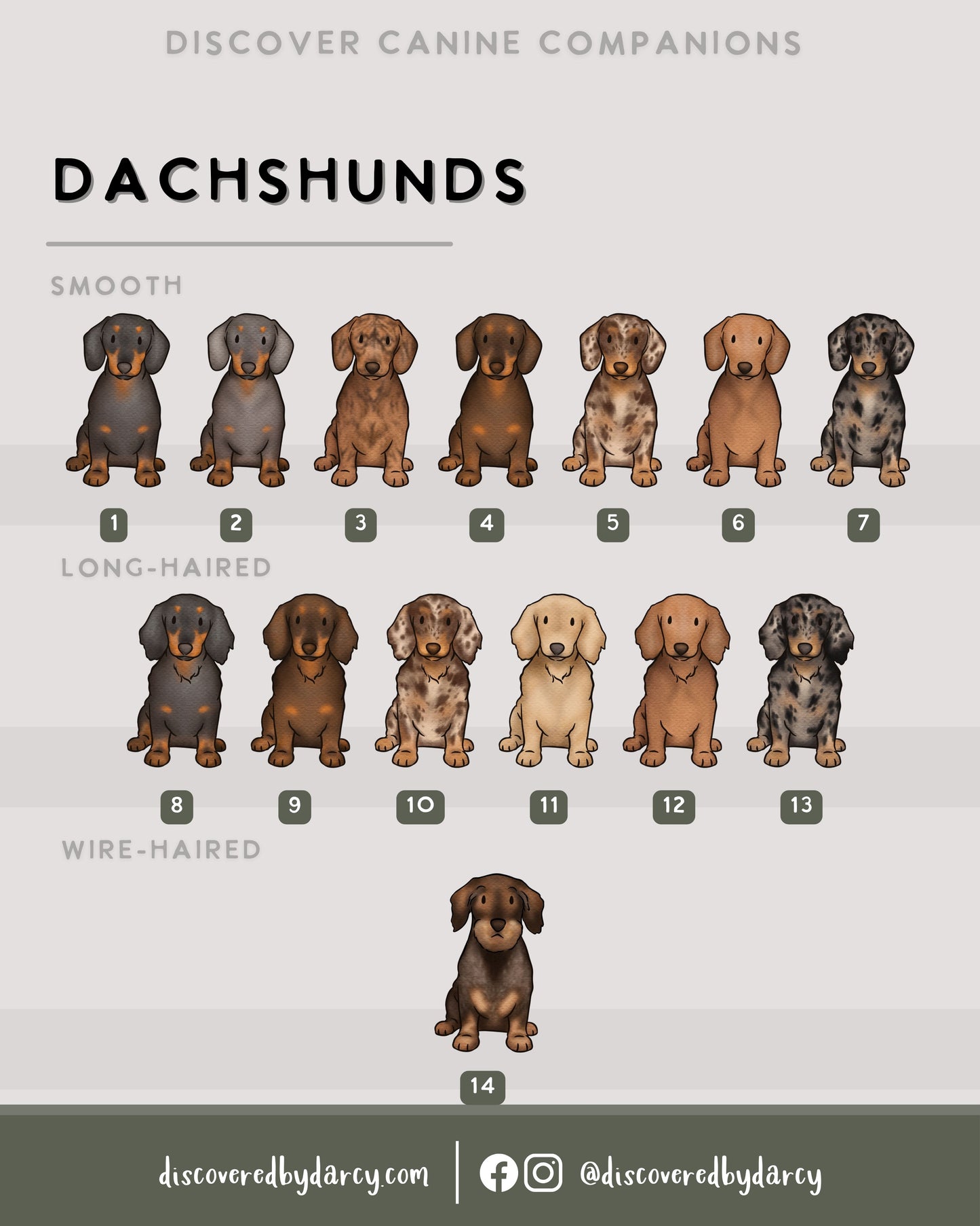 Dachshunds - Build-Your-Own