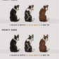 Collies - Build-Your-Own