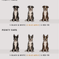 Collies - Build-Your-Own