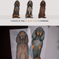 Coon Hounds - Build-Your-Own