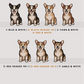 Corgis - Build-Your-Own