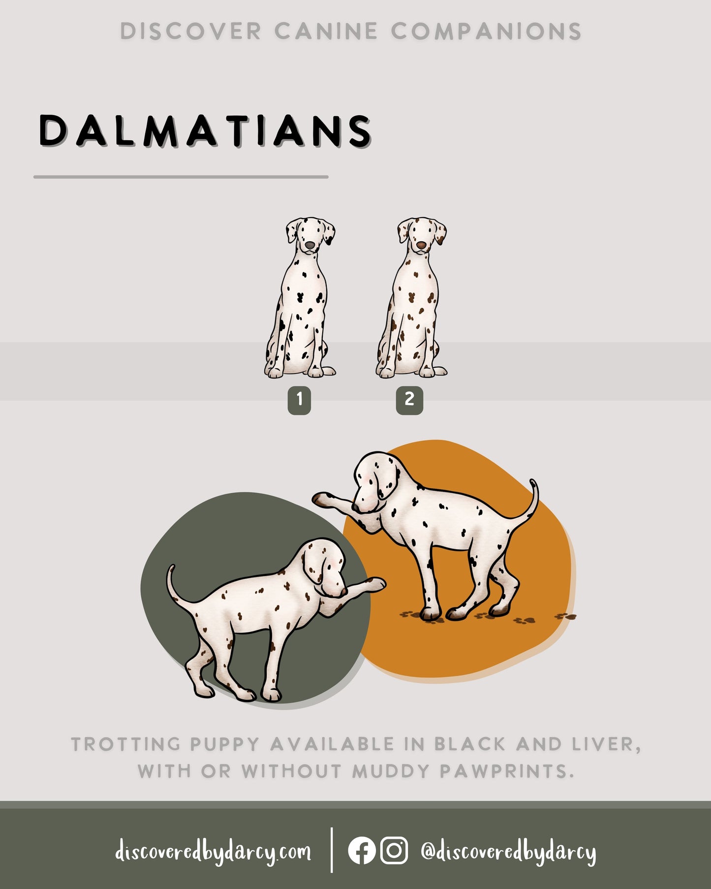 Dalmatians - Build-Your-Own