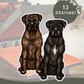 Cane Corsos - Build-Your-Own
