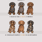 Dachshunds - Build-Your-Own