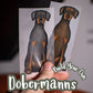 Dobermanns - Build-Your-Own