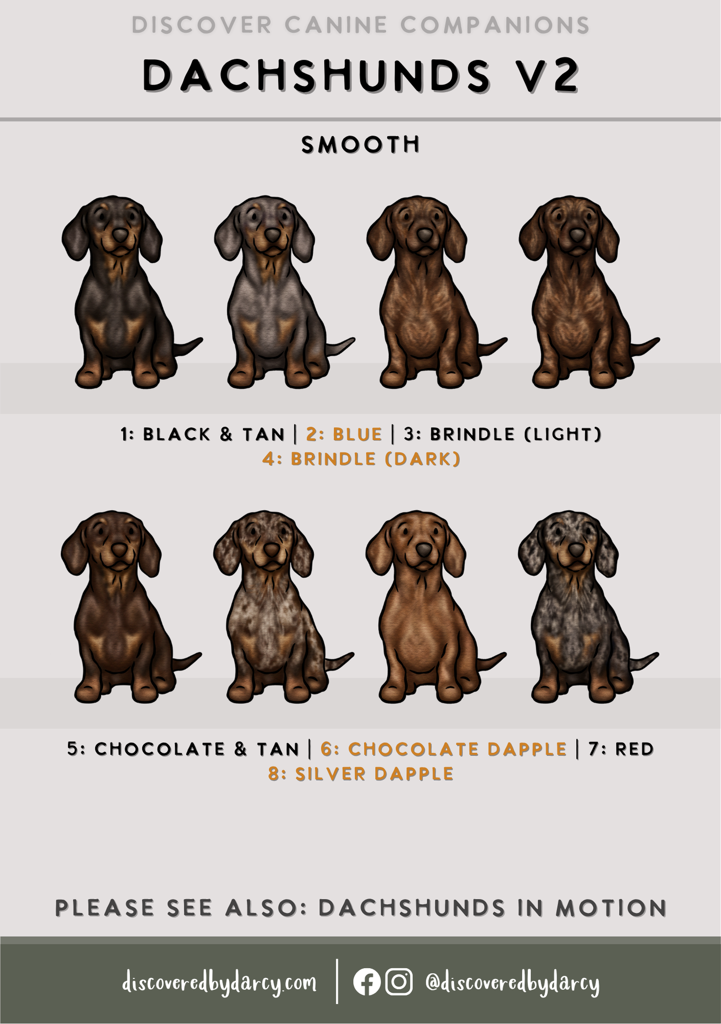 Dachshunds - Build-Your-Own