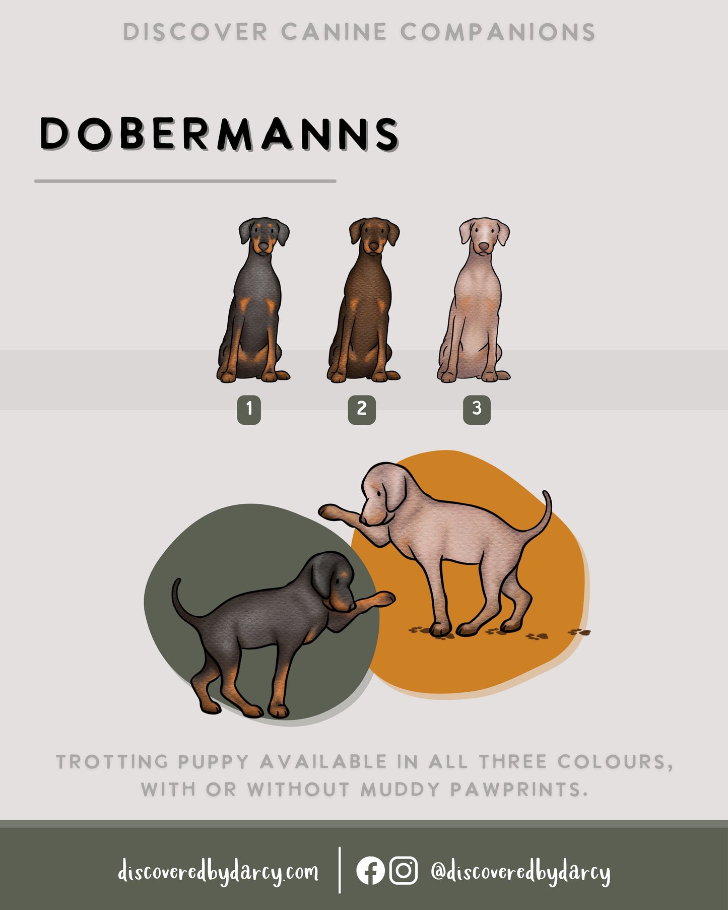 Dobermanns - Build-Your-Own