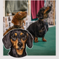 Dachshunds - Build-Your-Own