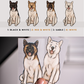 Akita - Build-Your-Own