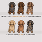 Dachshunds - Build-Your-Own