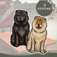 Chow Chows - Build-Your-Own