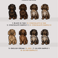 Dachshunds - Build-Your-Own