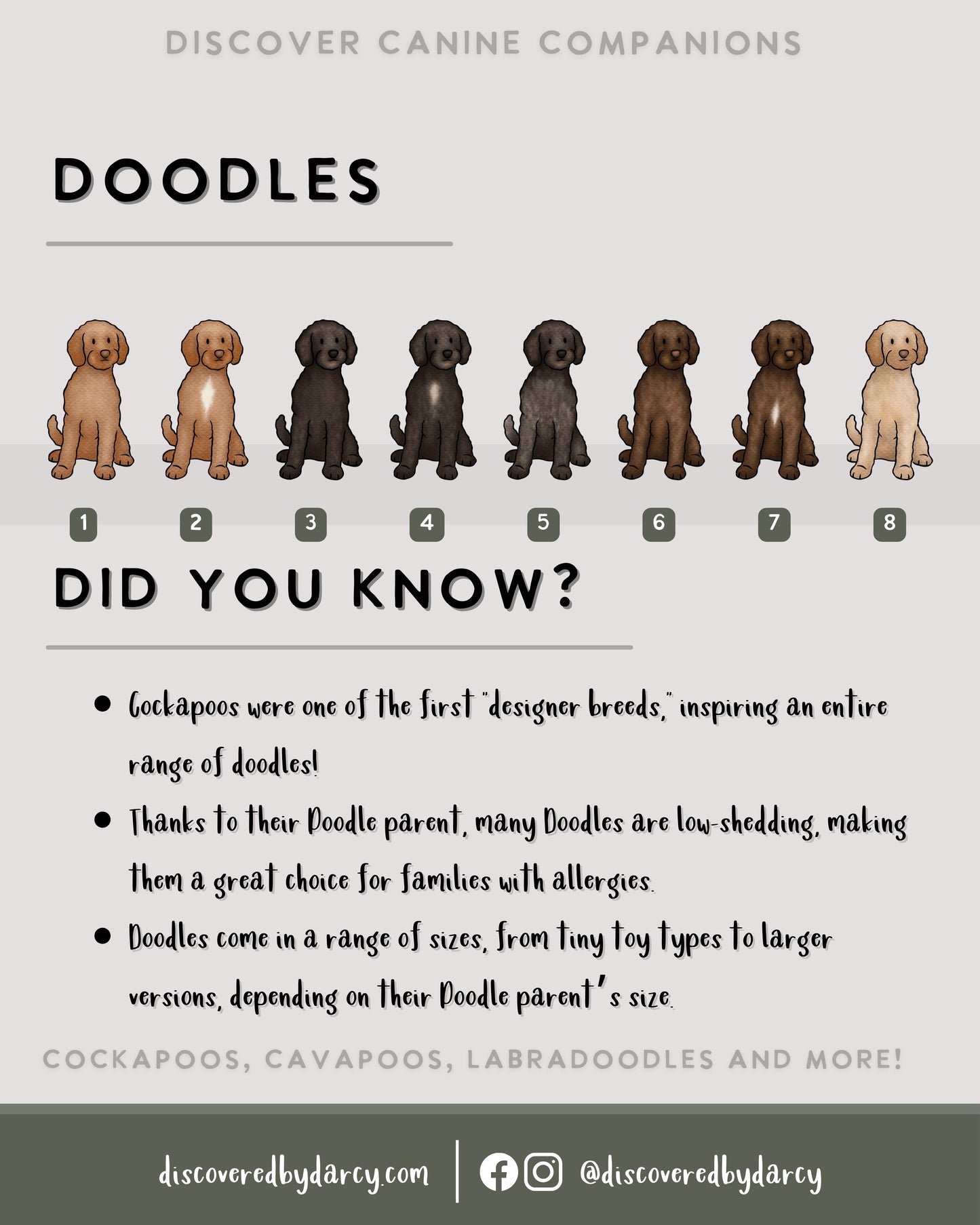 Doodles - Build-Your-Own