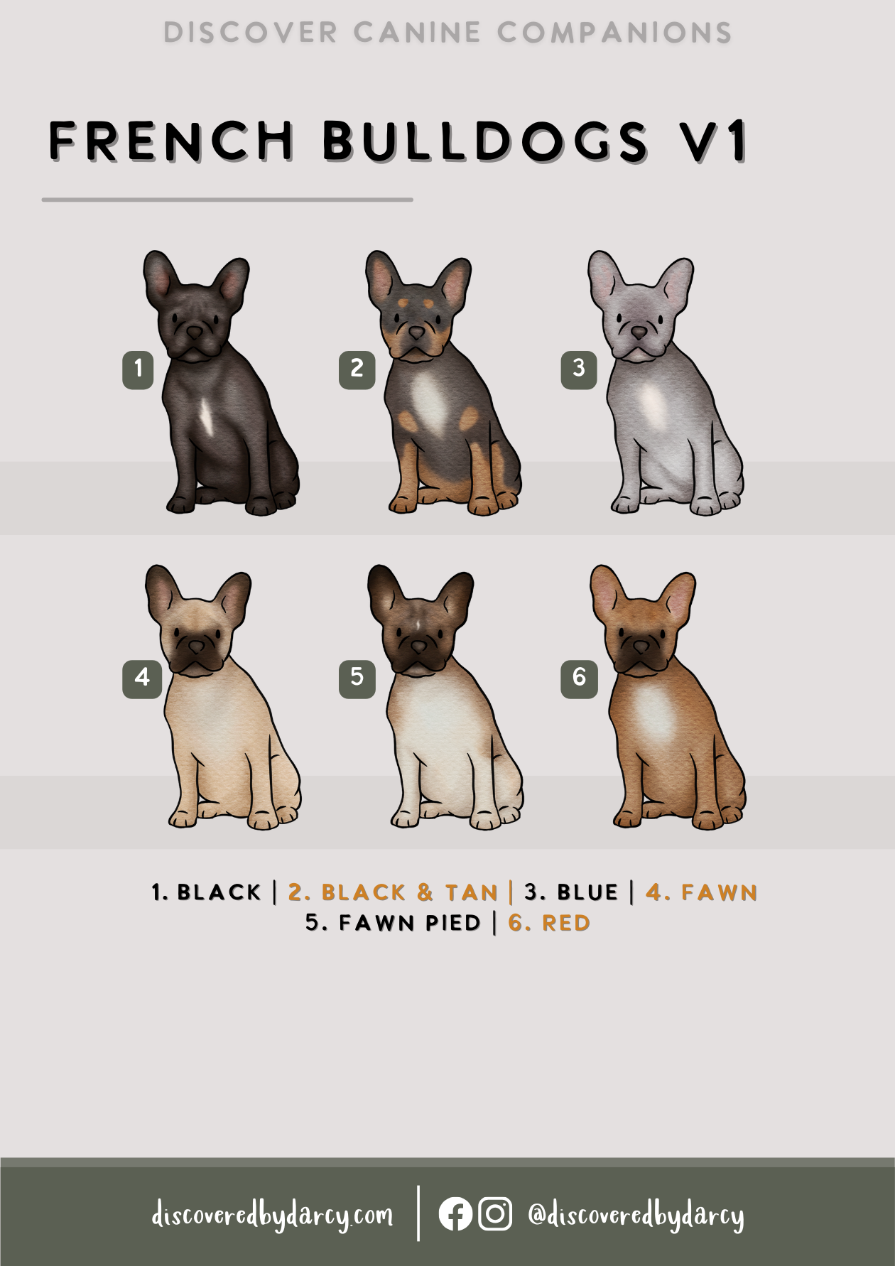 French Bulldogs - Build-Your-Own