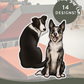 Collies - Build-Your-Own