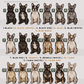 French Bulldogs - Build-Your-Own