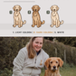 Golden Retrievers - Build-Your-Own